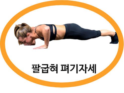 팔굽혀 펴기